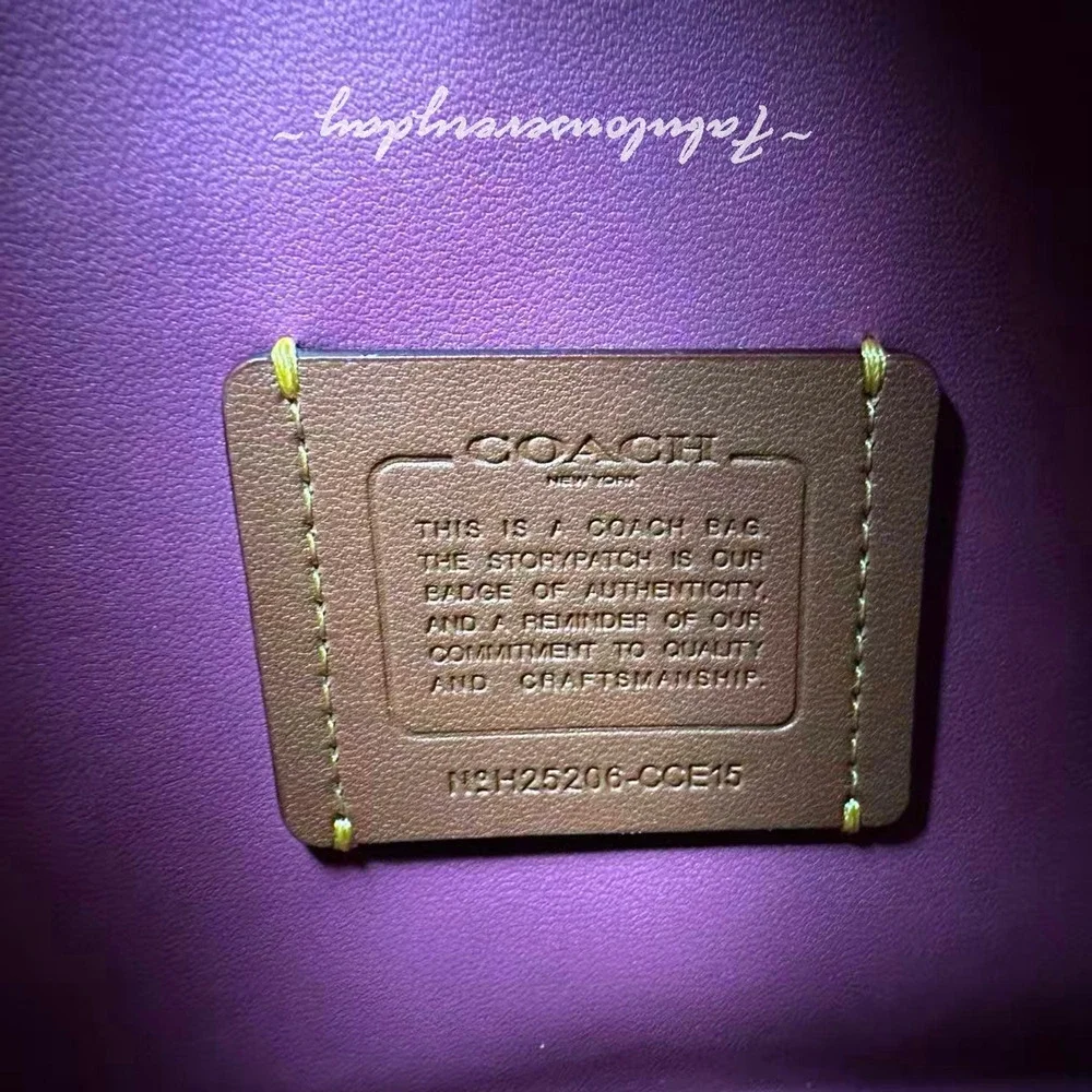 COACH Hadley Mini Crossbody Bag Shoulder Bag In Leather/Gold/Azelia CCE15 NWT